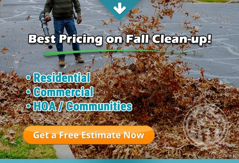 Fall Cleanup